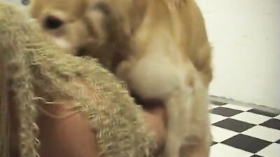Dog fuck two girl