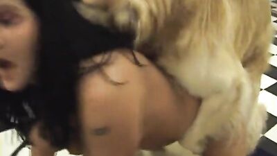 Dog fuck two girl