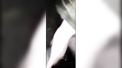 Horse fuck pussy Nice view