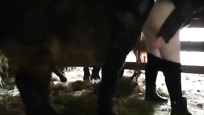 Horse fuck pussy woman