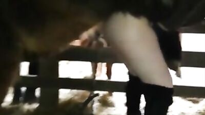 Horse fuck pussy woman
