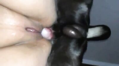 Dog fuck Chubby