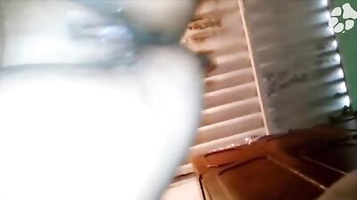 Cachorro comendo a gordinha