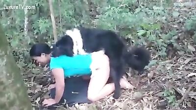 Cachorro comendo a coroa
