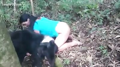 Cachorro comendo a coroa