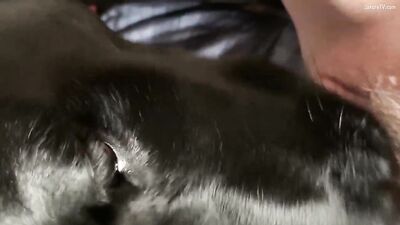 Pussy Butter Bizarro Threesome - Dog Loves Cumming In Furry Hole