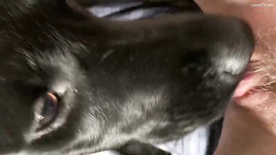 Pussy Butter Bizarro Threesome - Dog Loves Cumming In Furry Hole