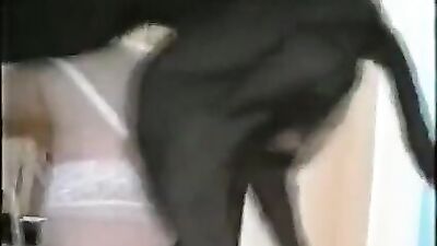 Married with big black dog