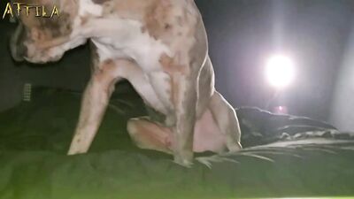 Chubby girl was fucked by her dog