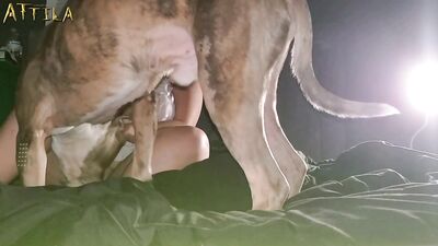 Chubby girl was fucked by her dog