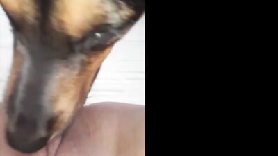 Girl doing double penetration with 2 dogs