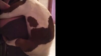My girlfriend fucking with dog