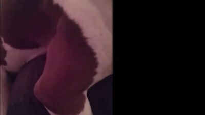 My girlfriend fucking with dog