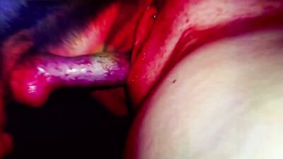 Fucking the family dog 1