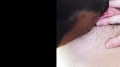 Compilation dog sucking girls pussy PT 1