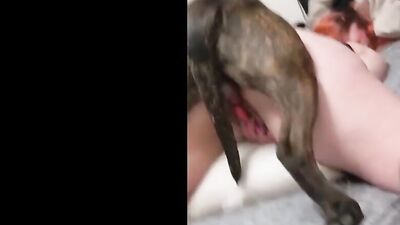 My girlfriend with broken pussy after dog fuck