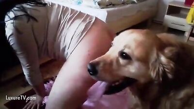 dando pro cachorro igual uma puta
