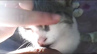woman breastfeed cat