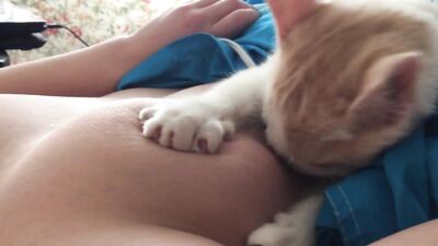 breastfeeding cat