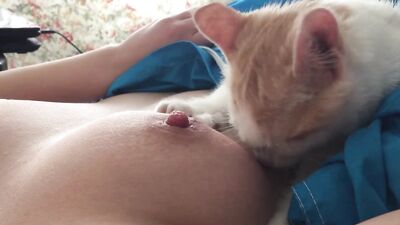 breastfeeding cat