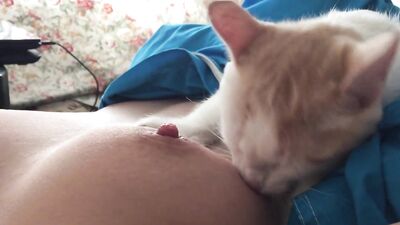 breastfeeding cat