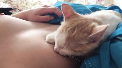 breastfeeding cat