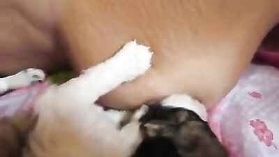 Amamantando con leche