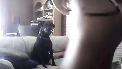 Black shemale play with dog