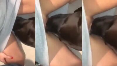Dog licks while sucking my husband