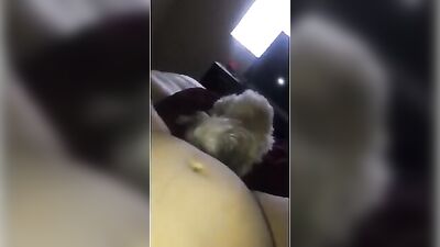 Dog liks my wet pussy