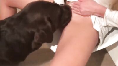 Dog licks beautys pussy
