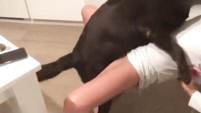 Dog licks beautys pussy