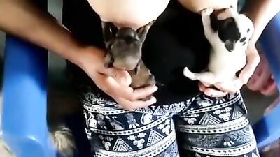 Feeding two cute puppies