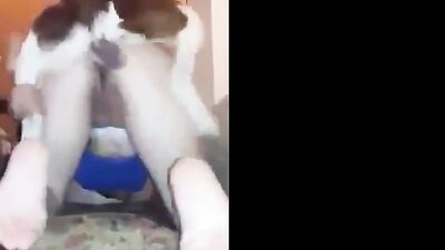 Amateur BRASIL Dog Fuck Compilation novinha PT2