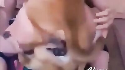 Puppy Lovers Grind Session - Double Doggy Delight