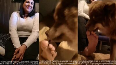 dog lick mature feet