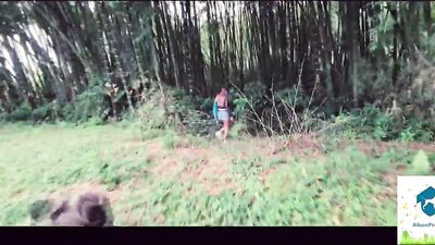 Alison - Forest For The Wicked