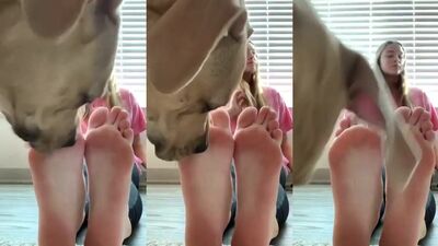 dog lick feet soles