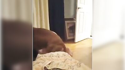 Esposa adora foder com dog.