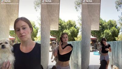 horny dogs