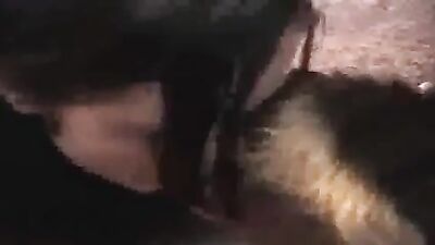 Doggie bj