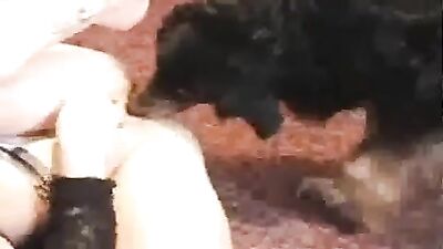 Doggie bj