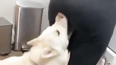 Doggystyle Lesbians Share Dirty Blowjobs
