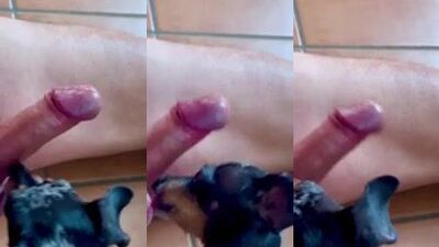 Lusty Dog Goes Down On Hung Stud