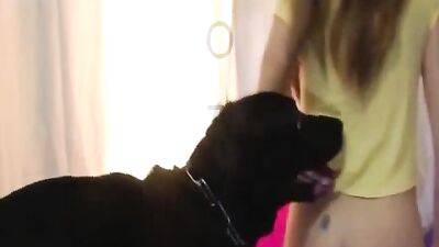Big pussy lips get licked by black pet