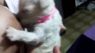 practicing breaatfeeding with puppy