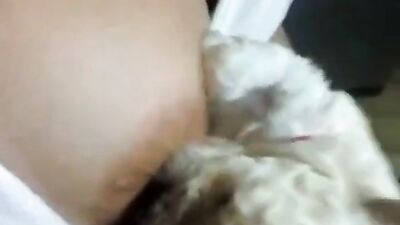 practicing breaatfeeding with puppy