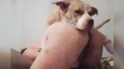 Gostosa de 4 pro dog