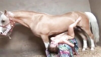 Por Baixo do Cavalo