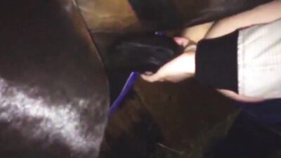 gay doing anal with horse pt 2